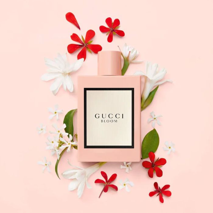 Bloom EDP
