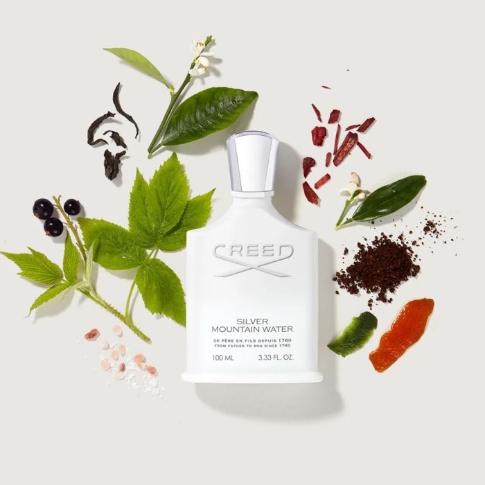 Creed - Silver Mountain Water EDP 100ML FOR MEN