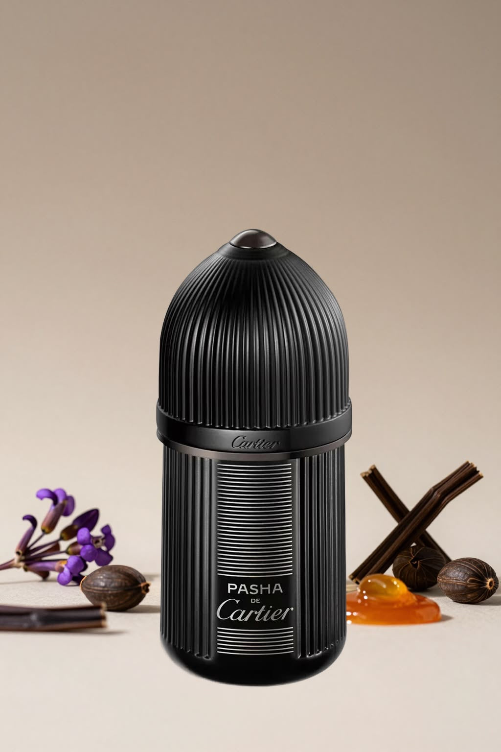 CARTIER - PASHA De Cartier Noire Absolu Parfum 100ML